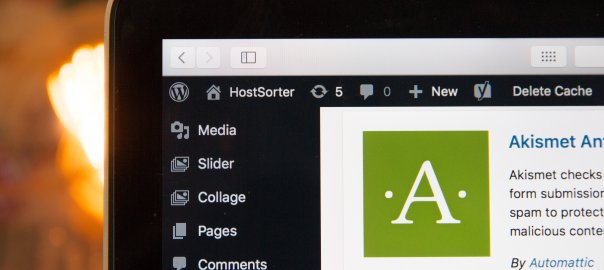 Part of laptop screen showing Wordpress Admin Area